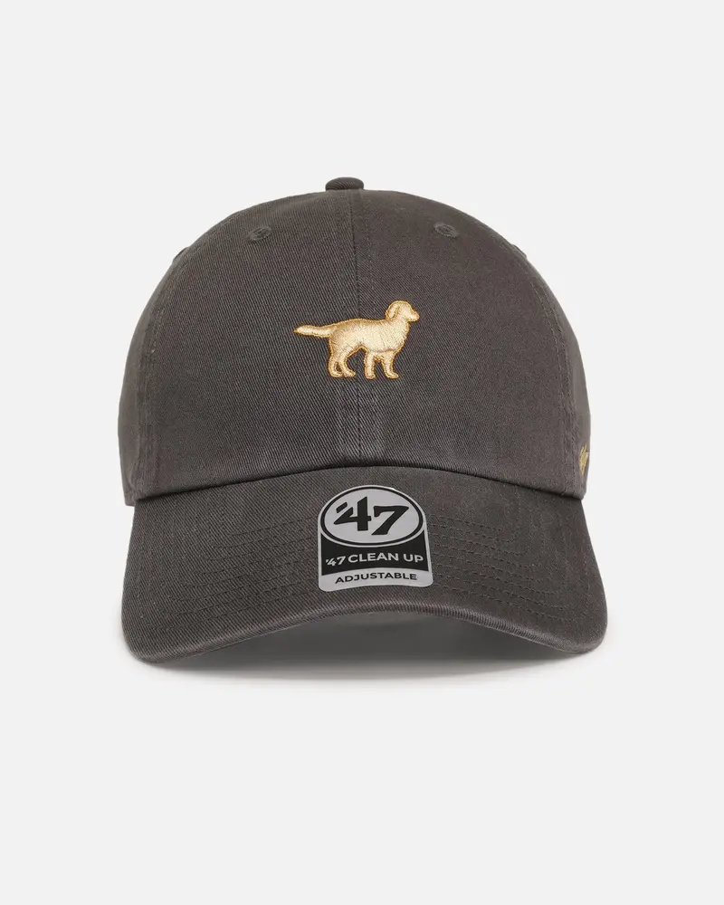 47 Brand Golden Retriever 'Dog Collection' 47 Clean Up Strapback Charcoal 1