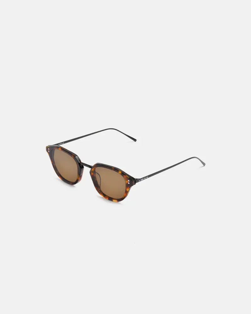 Akila Theory Sunglasses Tort/Brown Fade 1