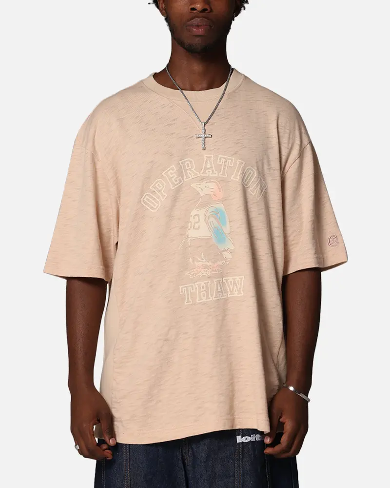 Champion Rw Expansion T-Shirt Mocha 1