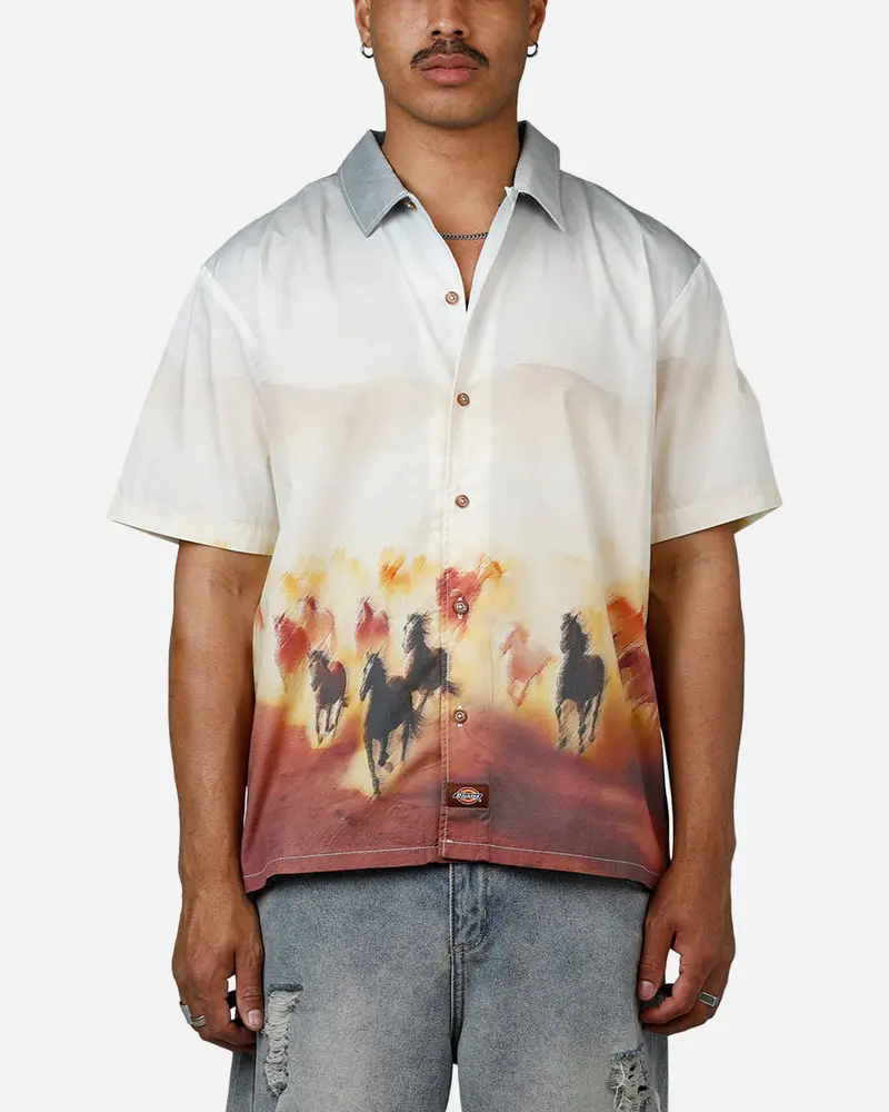 Dickies Running Wild Shirt Multi 1