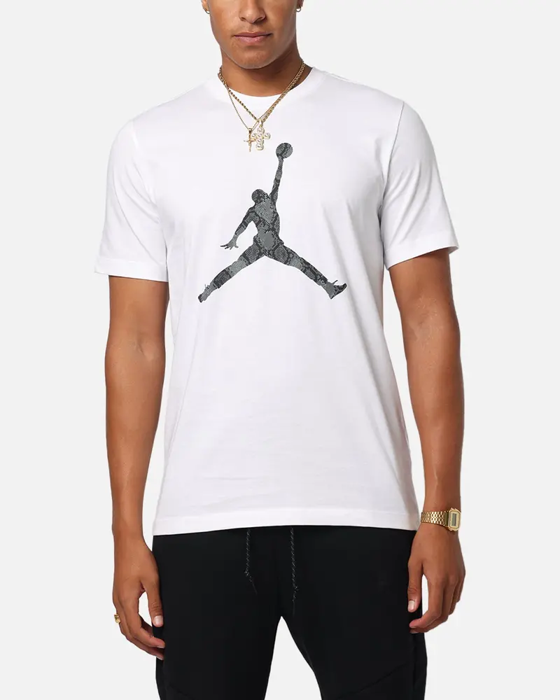 Jordan Jumpman Sport Dri-Fit T-Shirt White 1