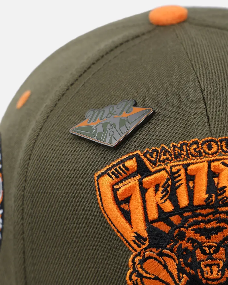 Mitchell & Ness Vancouver Grizzlies 'Harmony Of Hues' Pro Crown Snapback Olive/Orange 2