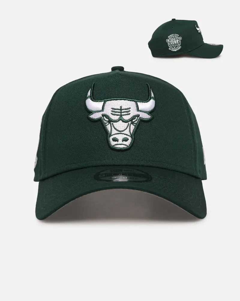 New Era Chicago Bulls 'Chicago Bulls Polychromatic' 9Forty A-Frame Snapback Dark Green 1