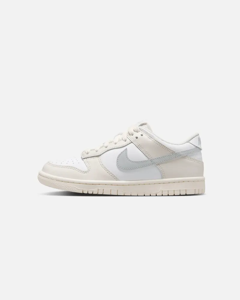 Nike Kids' Dunk Low (Gs) White/Silver 1