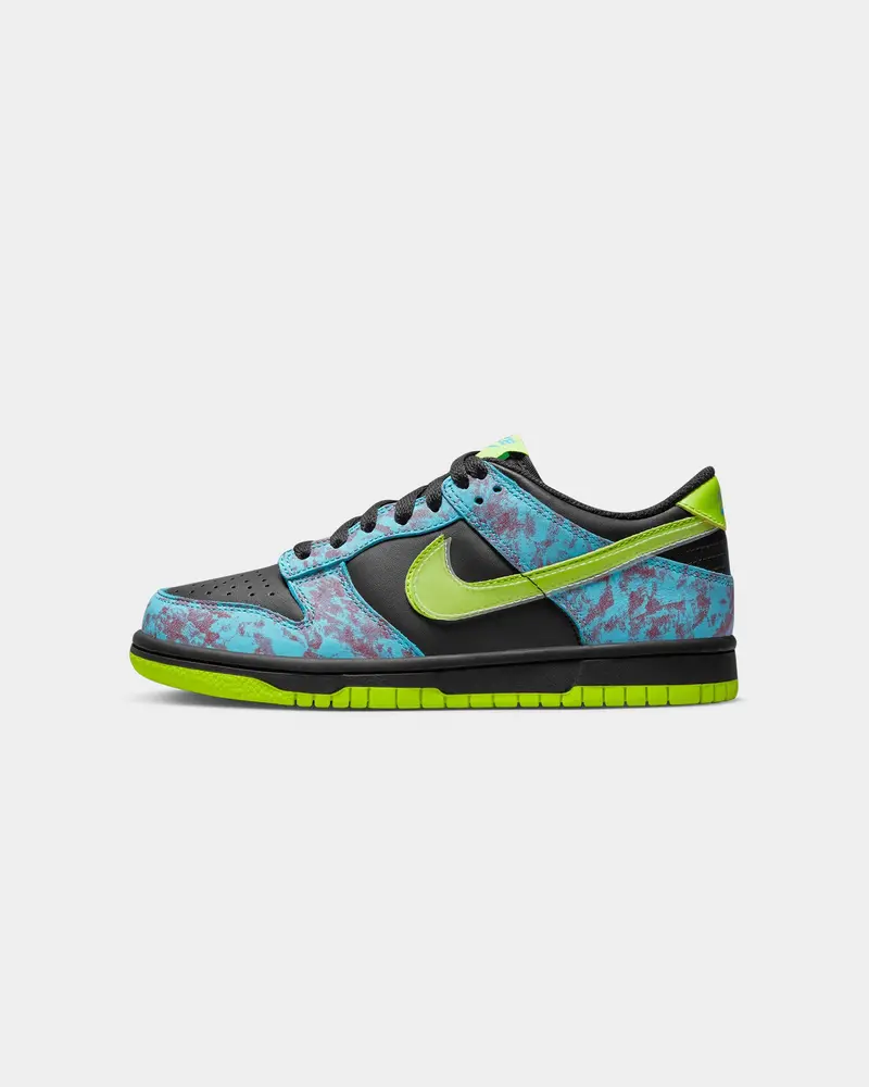 Nike Kids' Dunk Low Se (Gs) Multi-Coloured 1