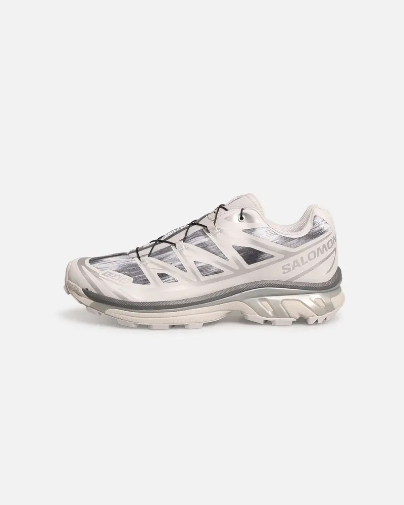 Salomon Xt-6 "Camo" Grey/Silver 1