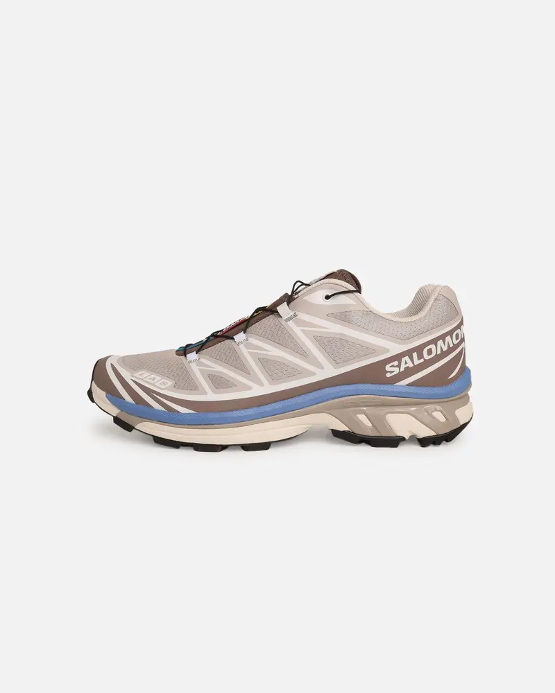 Salomon Xt-6 Silver 1