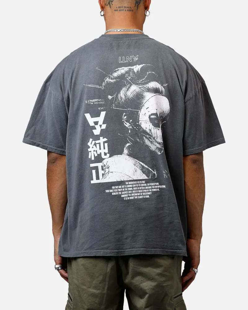 The Anti Order Truth In Chaos Heavyweight T-Shirt Sunfade Grey 1