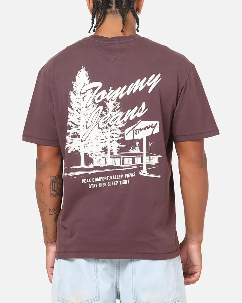 Tommy Jeans Relax Novelty T-Shirt Brown 1